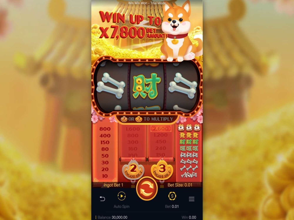 Win Win Won slot