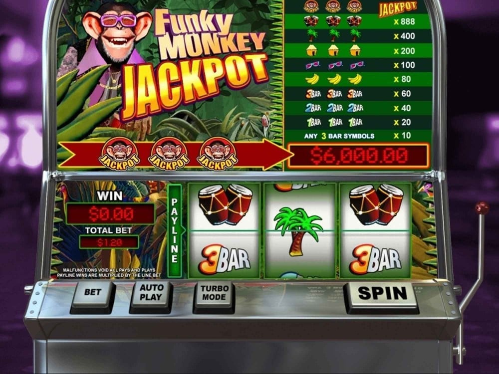 monkey jackpot