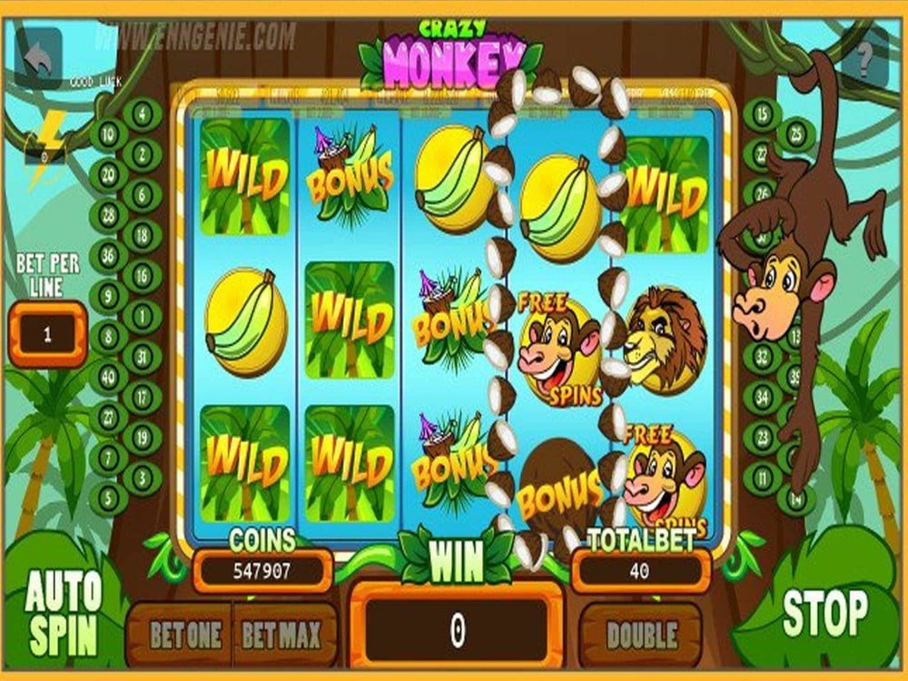 3 Reel And you can 5 Reel Slots